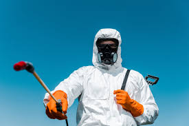 Best Fumigation Services  in Brady, TX